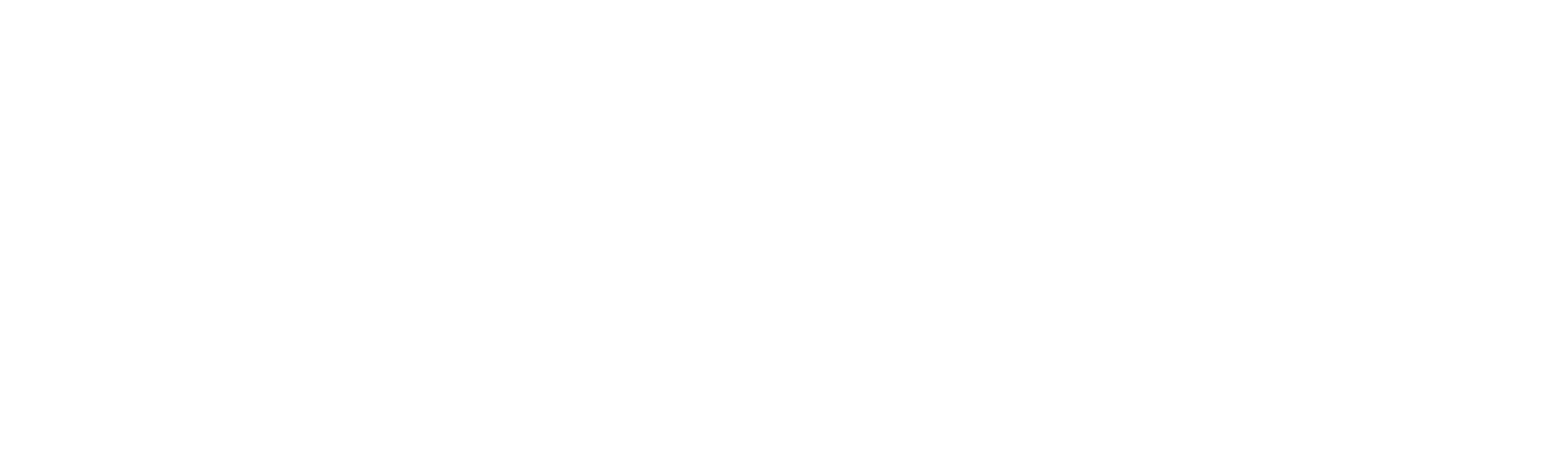 LIUC e-Corsi