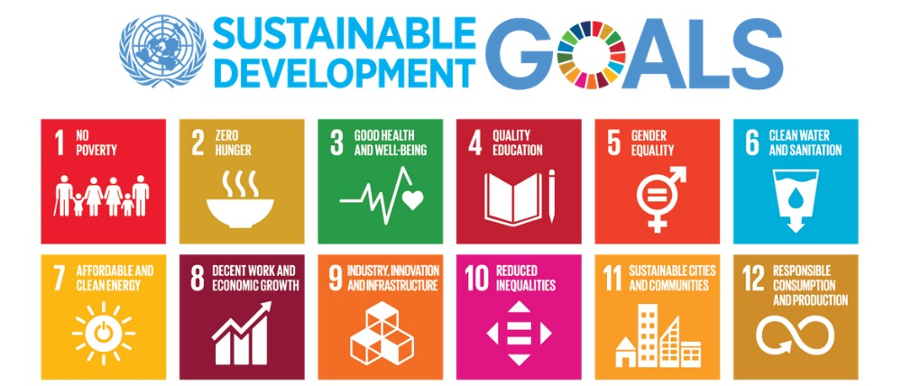 Agenda 2030 e gli obiettivi di sviluppo sostenibile delle Nazioni Unite 2021/2022
