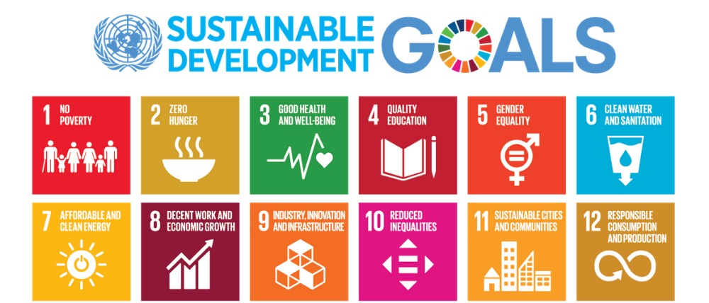 Agenda 2030 e gli obiettivi di sviluppo sostenibile delle Nazioni Unite 2022/2023