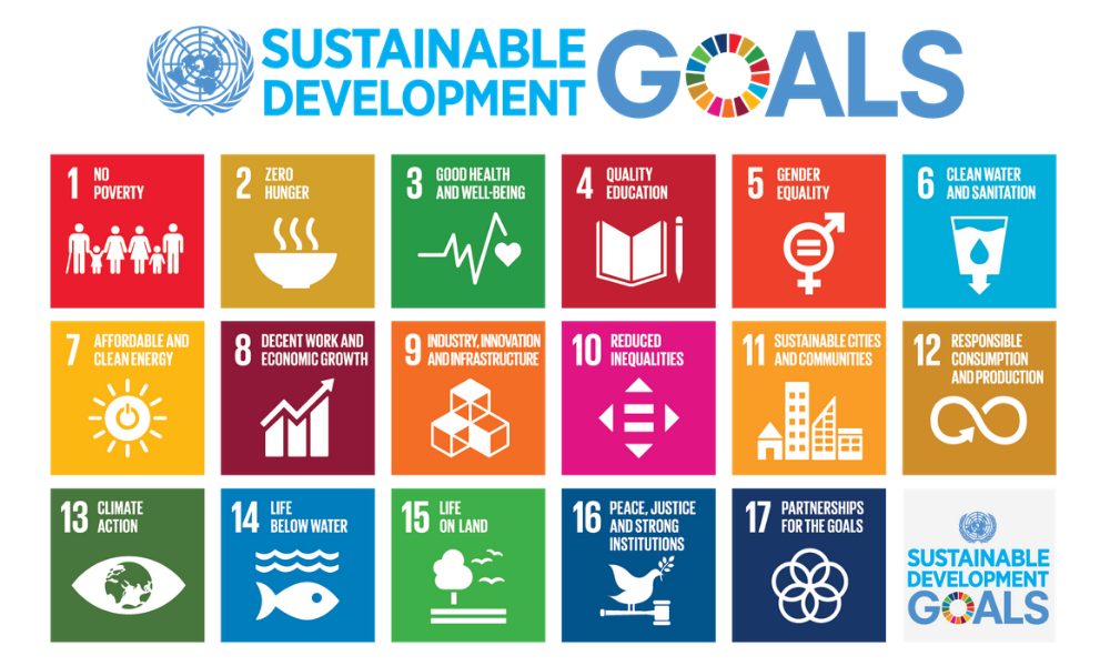 Agenda 2030 e gli obiettivi di sviluppo sostenibile delle Nazioni Unite 2024/2025