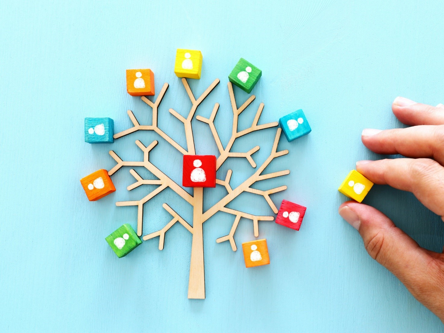 Family Business Management & Organization 2026/2027
